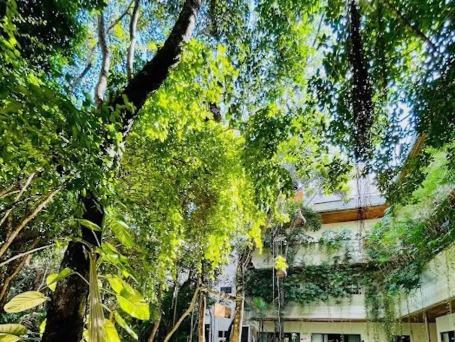 Penthouse Familiar Con Alberca Apartment Tulum