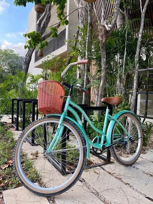 Penthouse Familiar Con Alberca Apartment Tulum