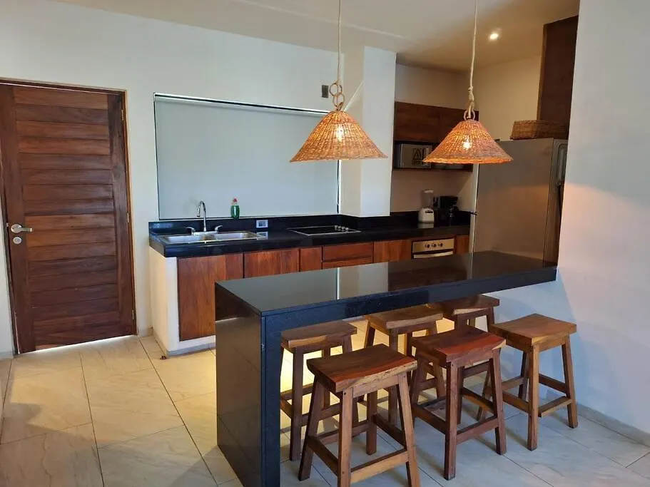 Penthouse Familiar Con Alberca Apartment Tulum Mexico